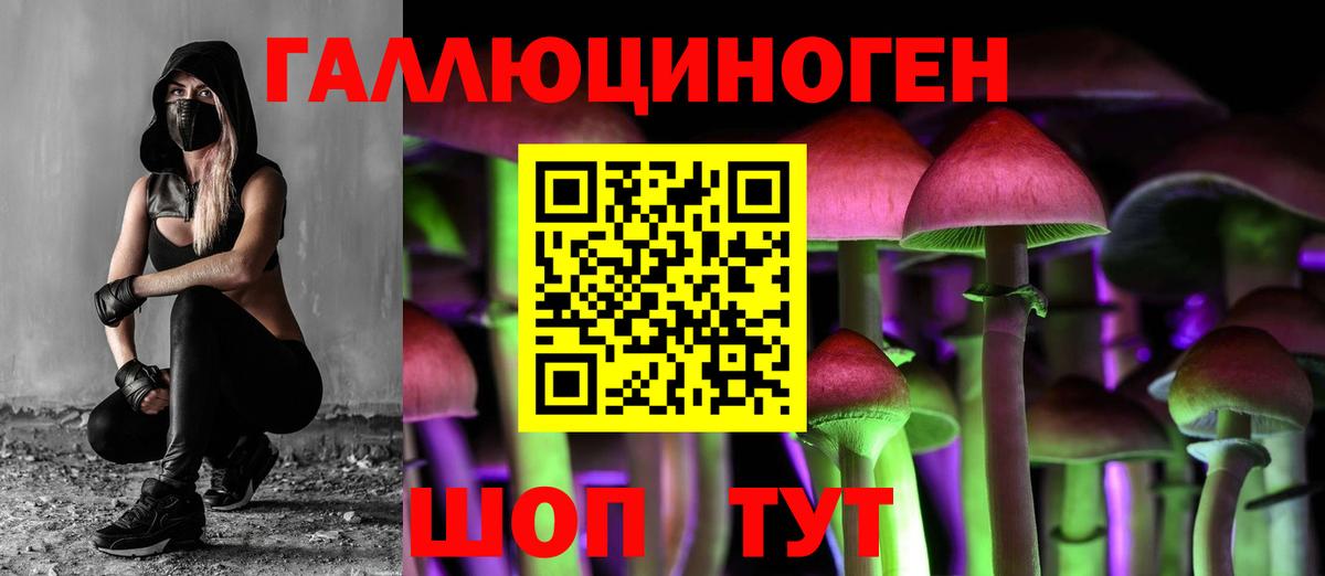 Галлюциногенные грибы Psilocybe Жигулёвск